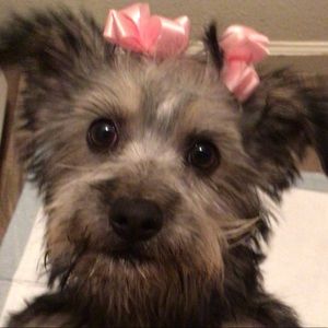 Meet your Posher, Amaya